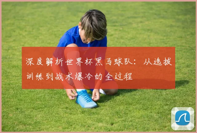 深度解析世界杯黑马球队：从选拔训练到战术爆冷的全过程