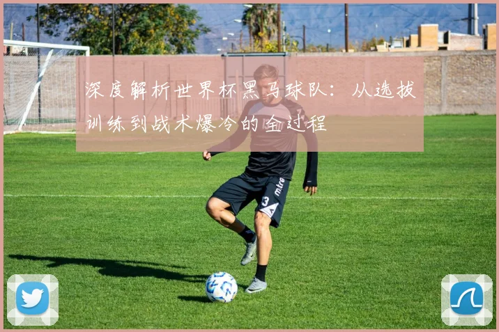 深度解析世界杯黑马球队：从选拔训练到战术爆冷的全过程